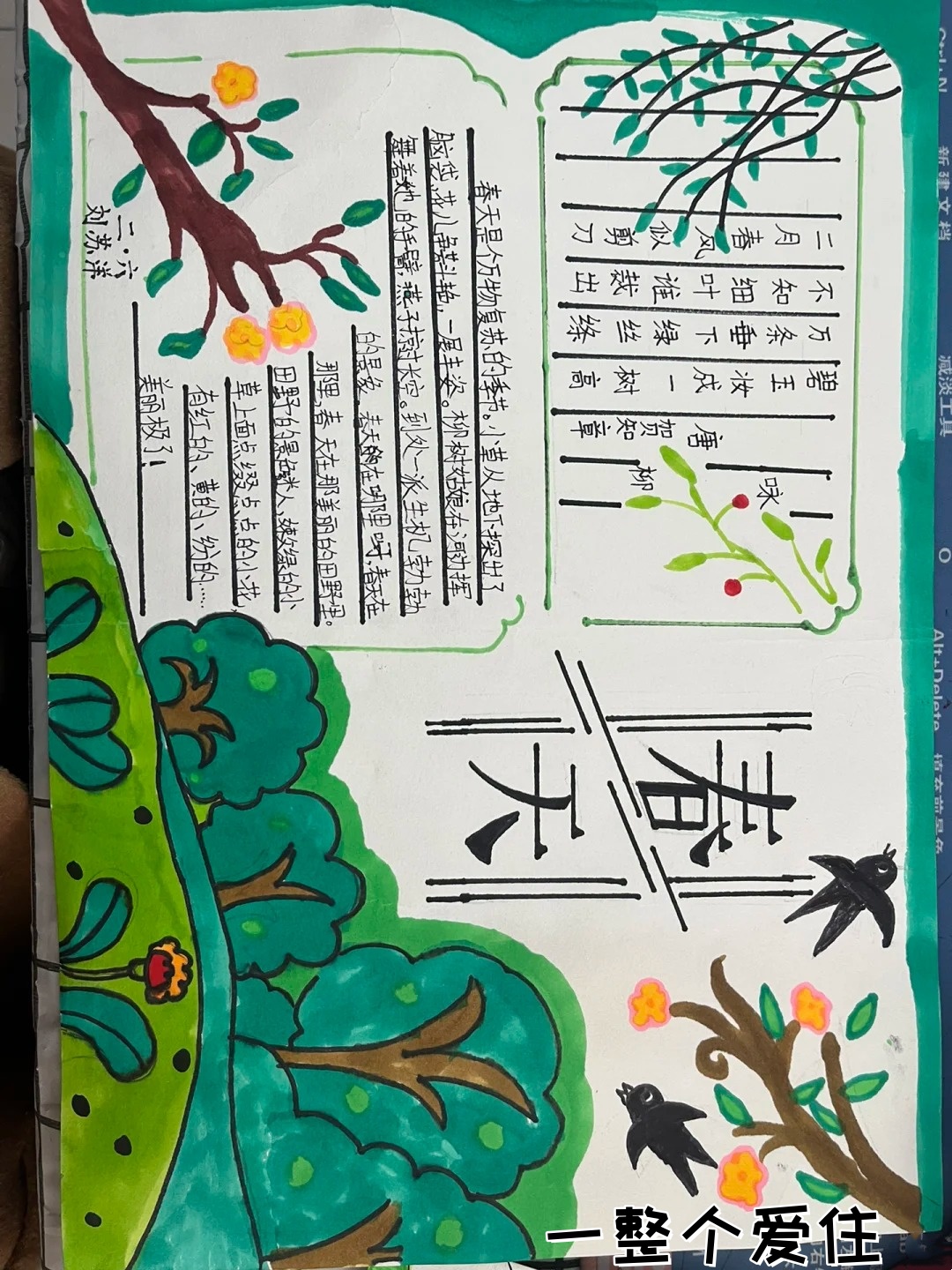 找春天手抄报 哈喽,家人们, 寻找春天的脚步,用手抄报描绘美好!