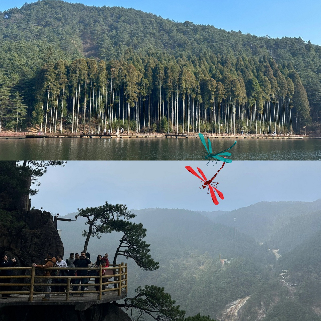 明月山 羊狮慕08一日游攻略  明月山景区内有停车场,12:30前需进入