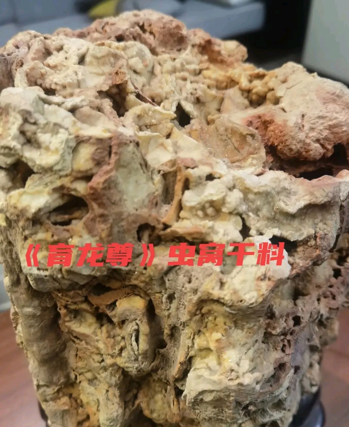 树化玉虫图片