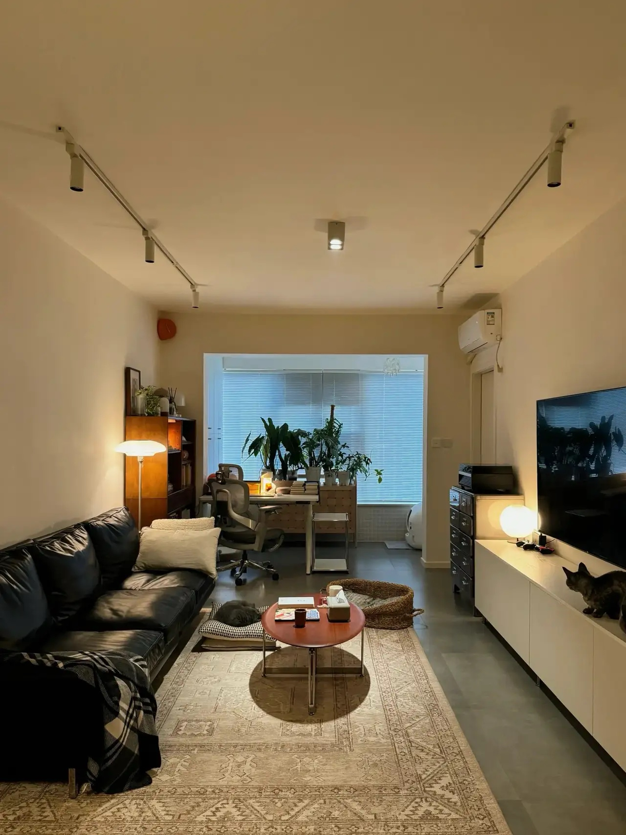 63平,我的小家好好住啊!