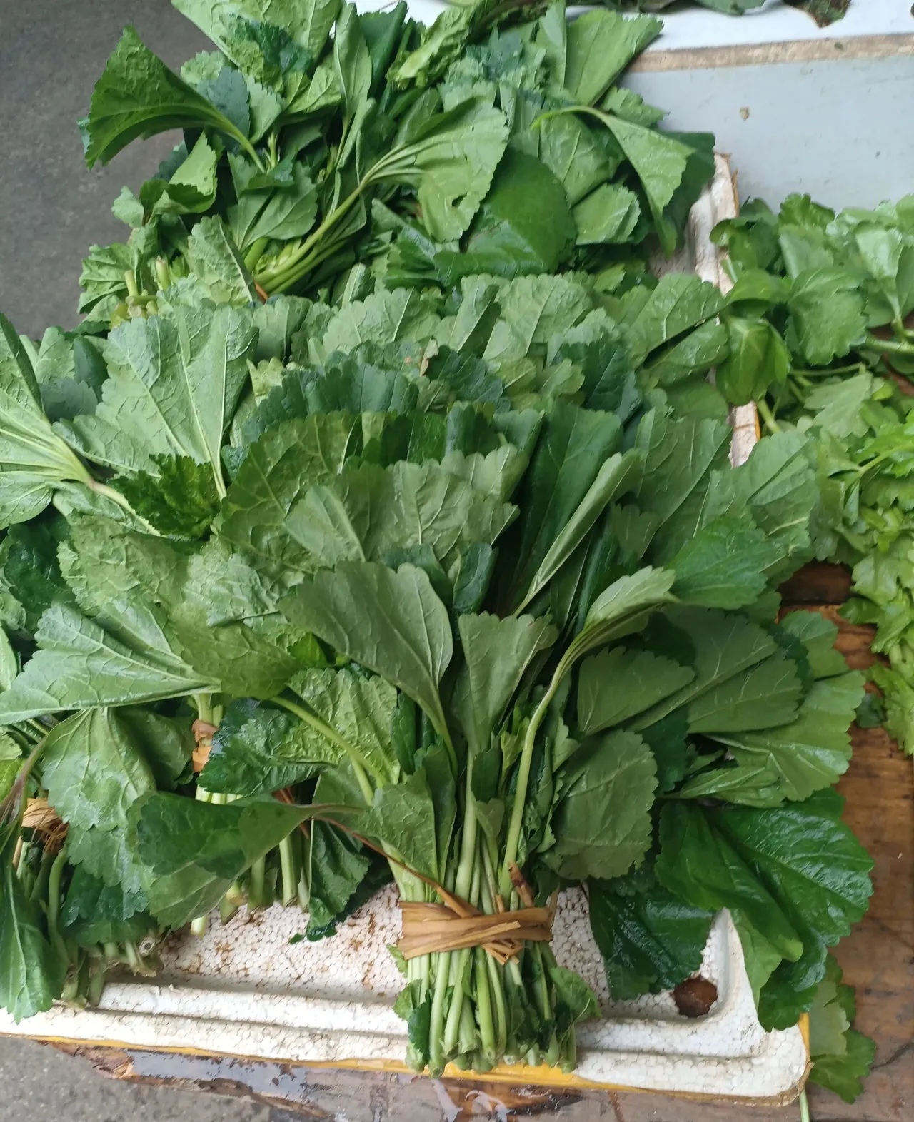今天在菜市场看见卖这两种菜不知道是野菜还是蔬菜