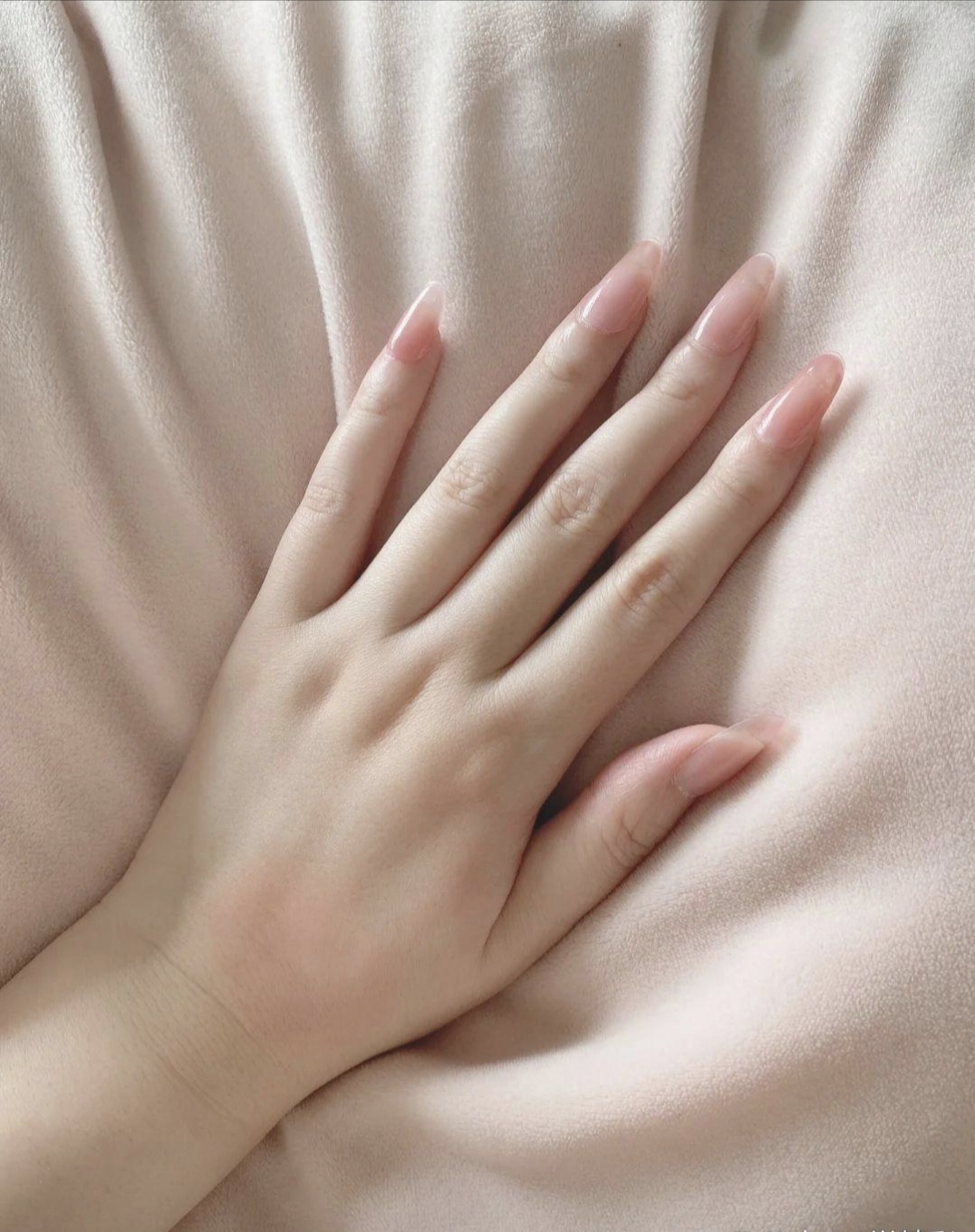 这样的芊芊玉手,真是让人赏心悦目啊 你是不是也被这只手吸引了呢?