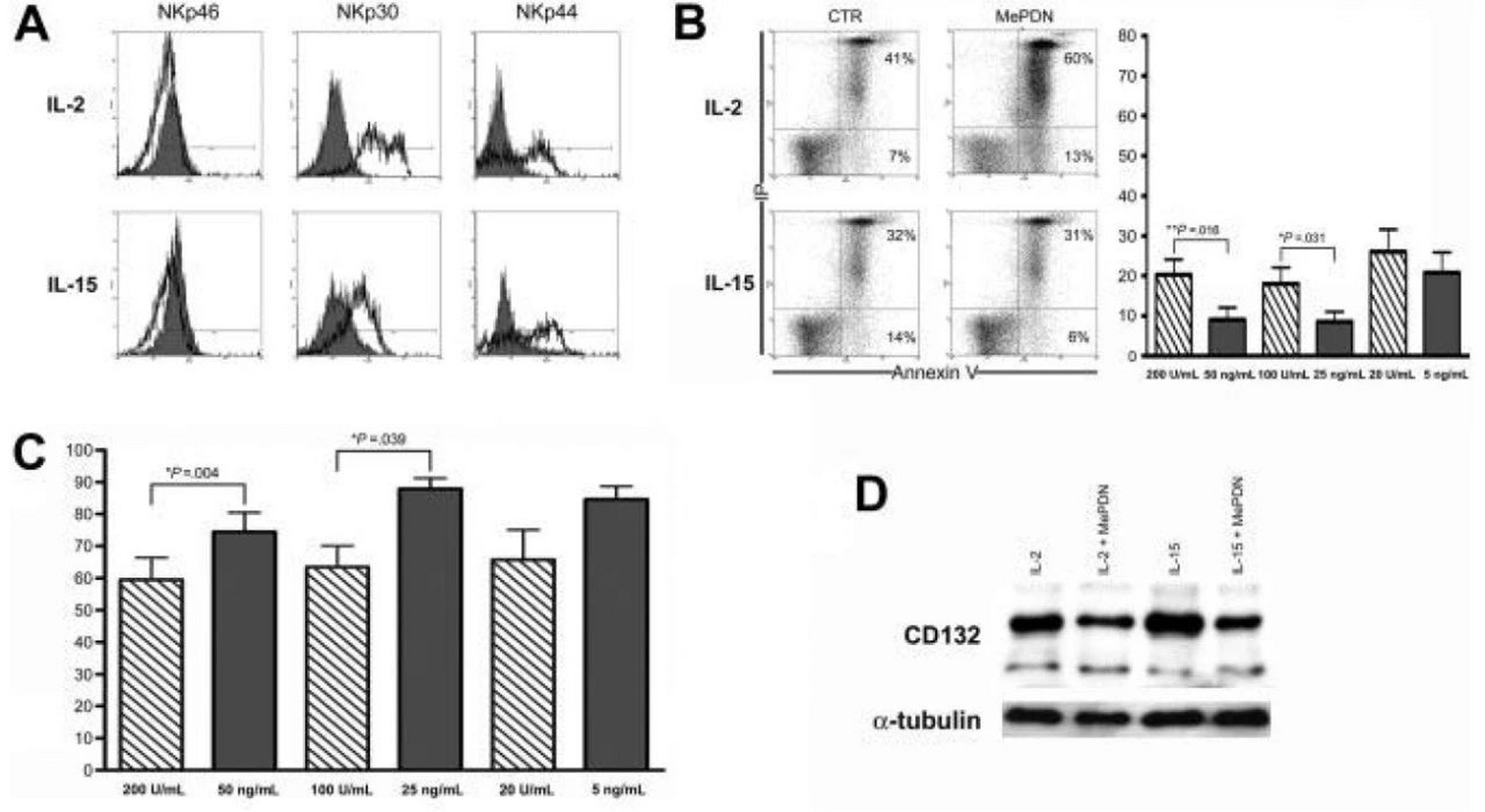 自然杀伤细胞是重要的免疫细胞,与抗肿瘤,抗病毒感染和免疫调节有关.