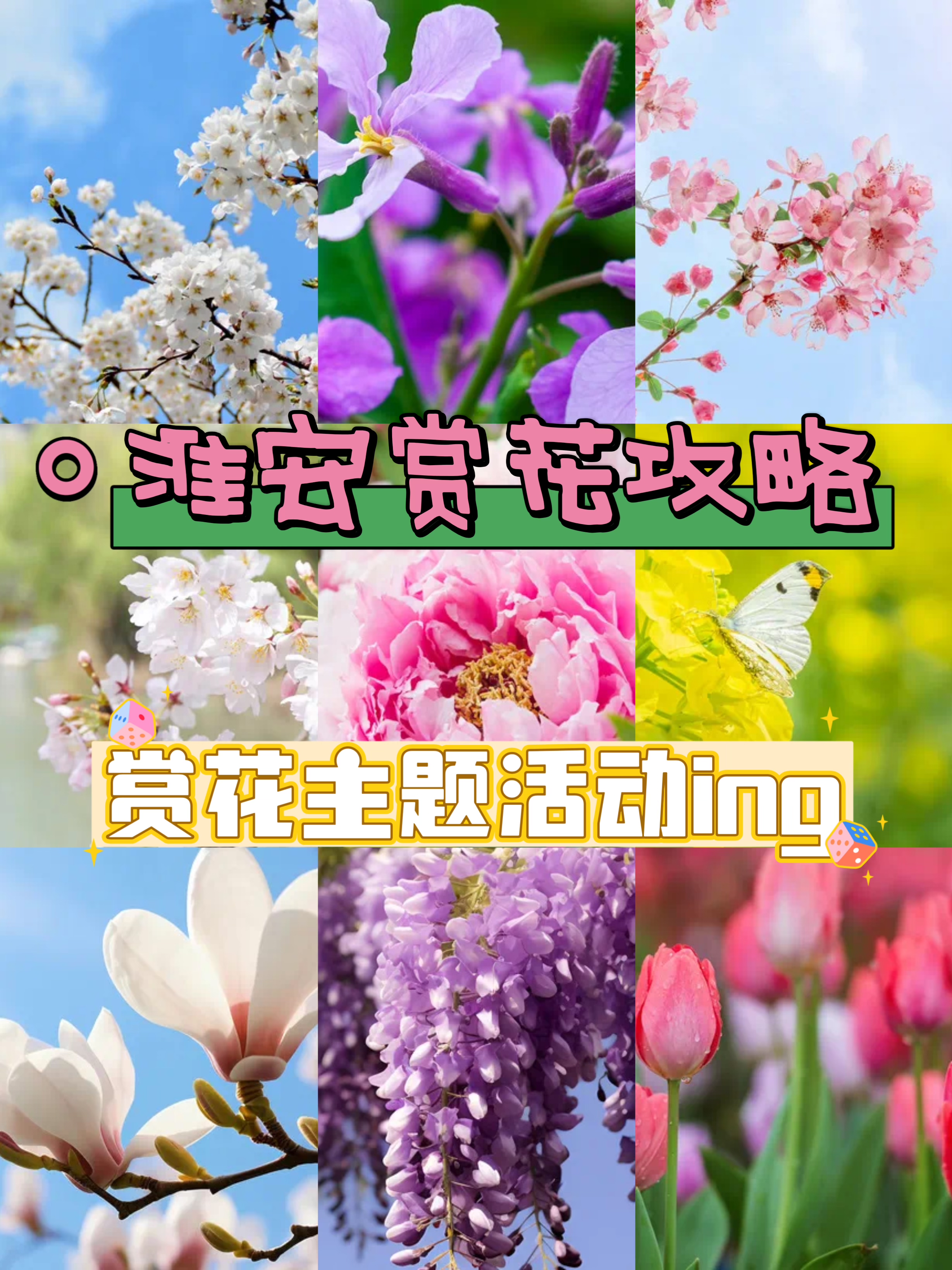 赏花节主题图片