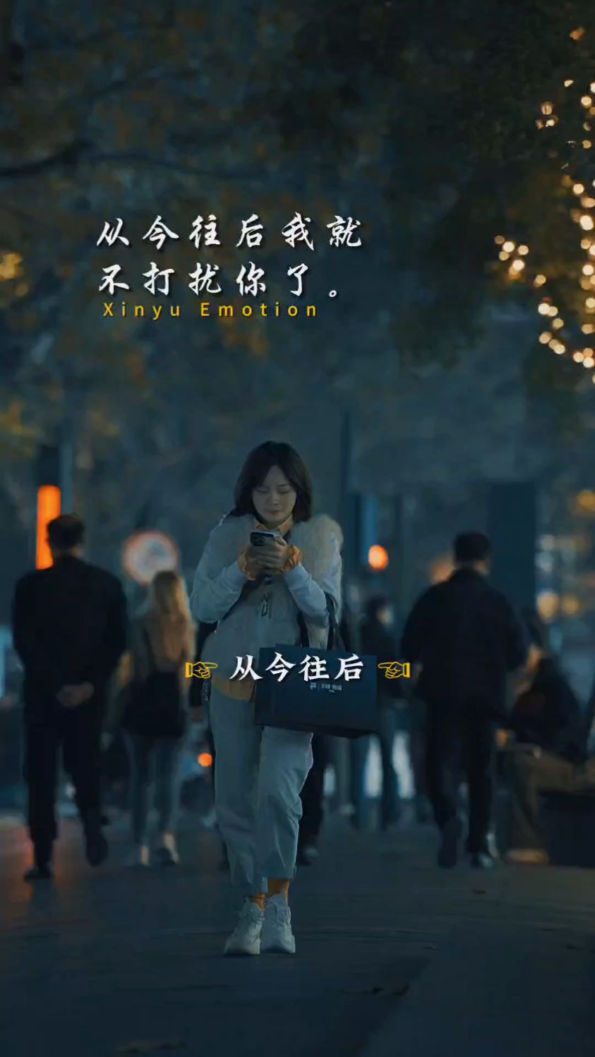 从今往后我就不打扰你了