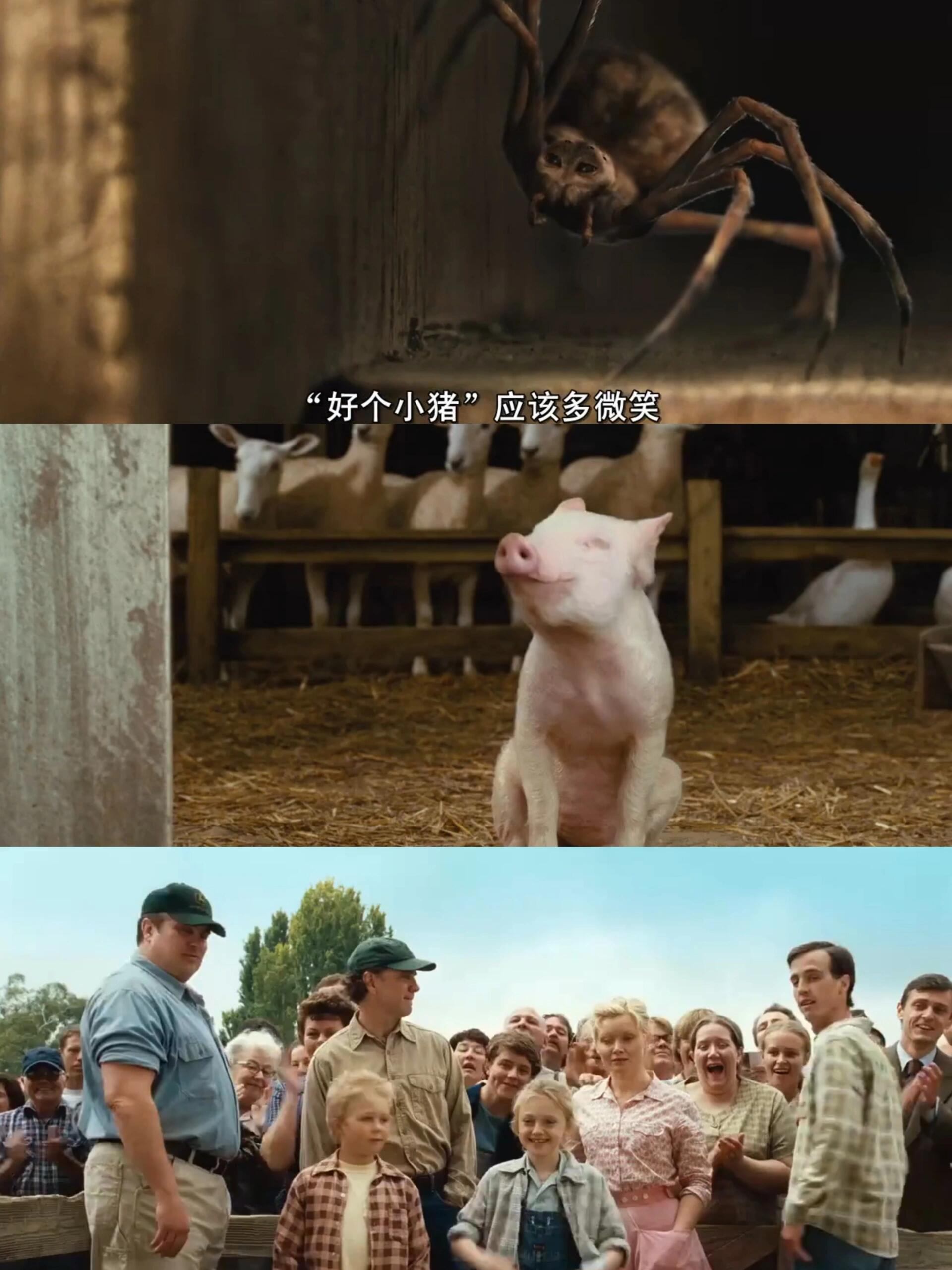 和的奇妙友情,温暖你的心!