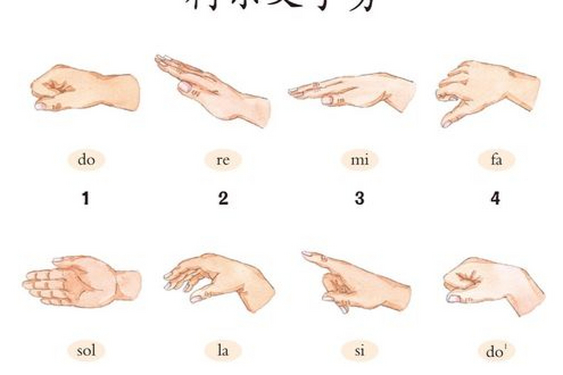 柯尔文动作是柯达伊的音乐训练方法,通过七个姿态表现七种唱名,帮助