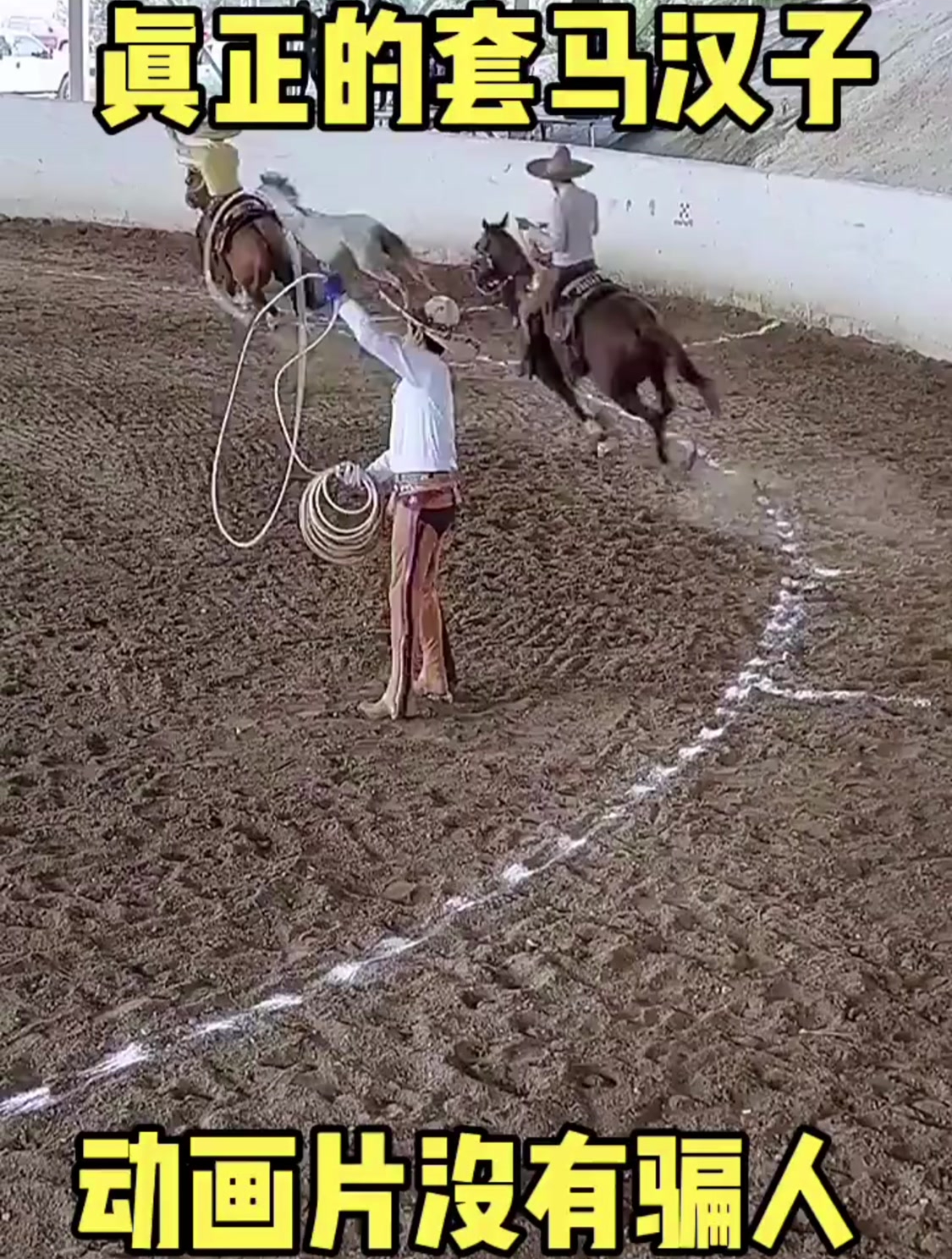 真正的西部牛仔,套马的汉子,动画片还真没有骗人