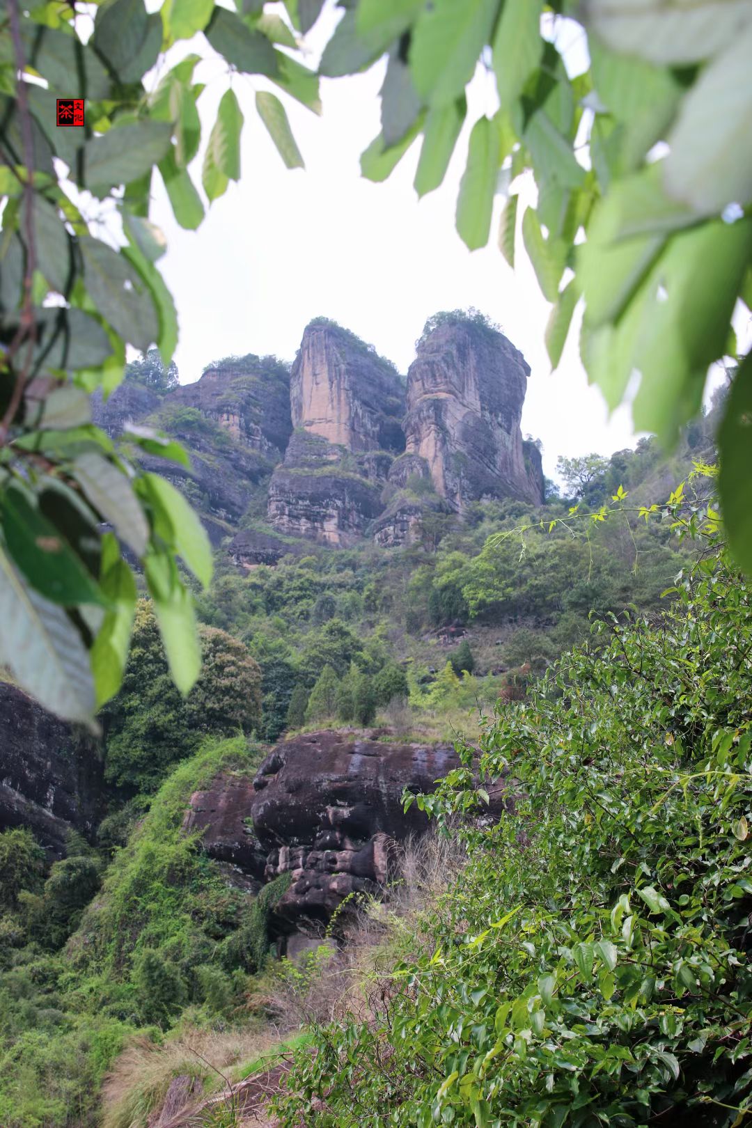 武夷山三姑景区图片