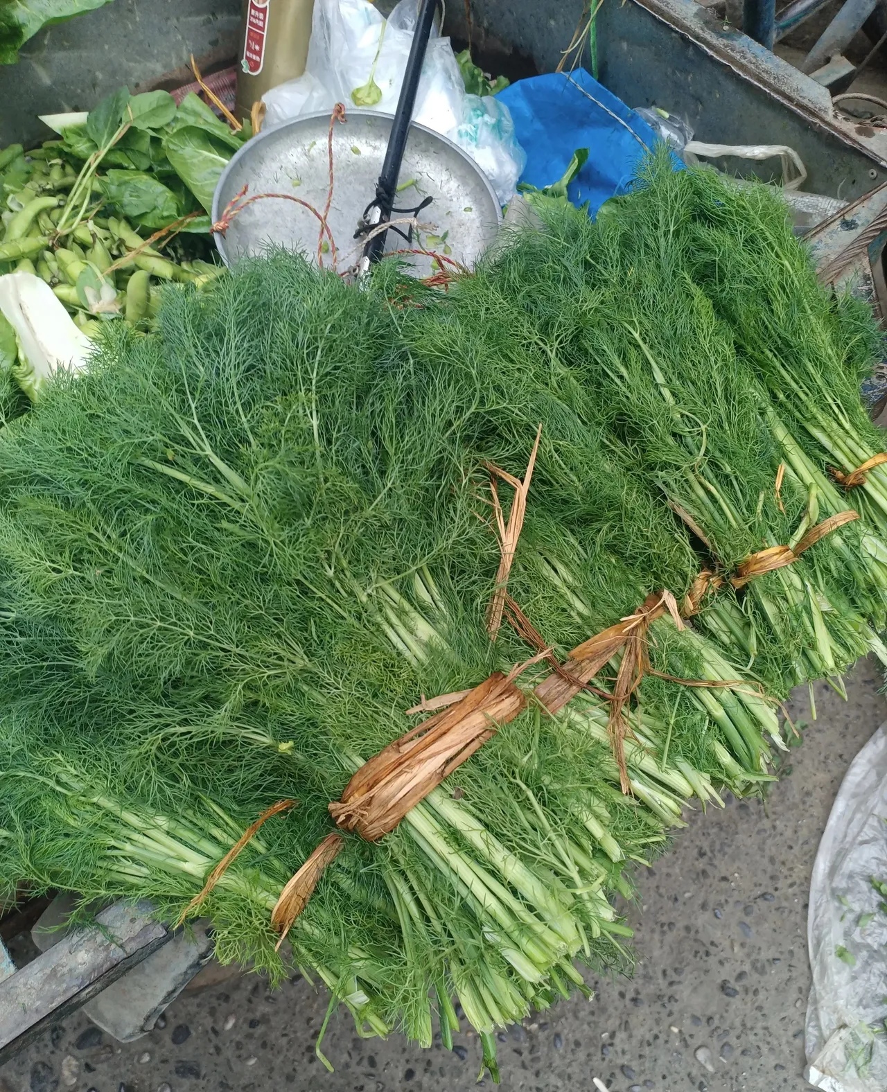 野菜是不是红萝卜缨子有没有假茴香菜新鲜樱菜图片菜市场小青菜图片卖