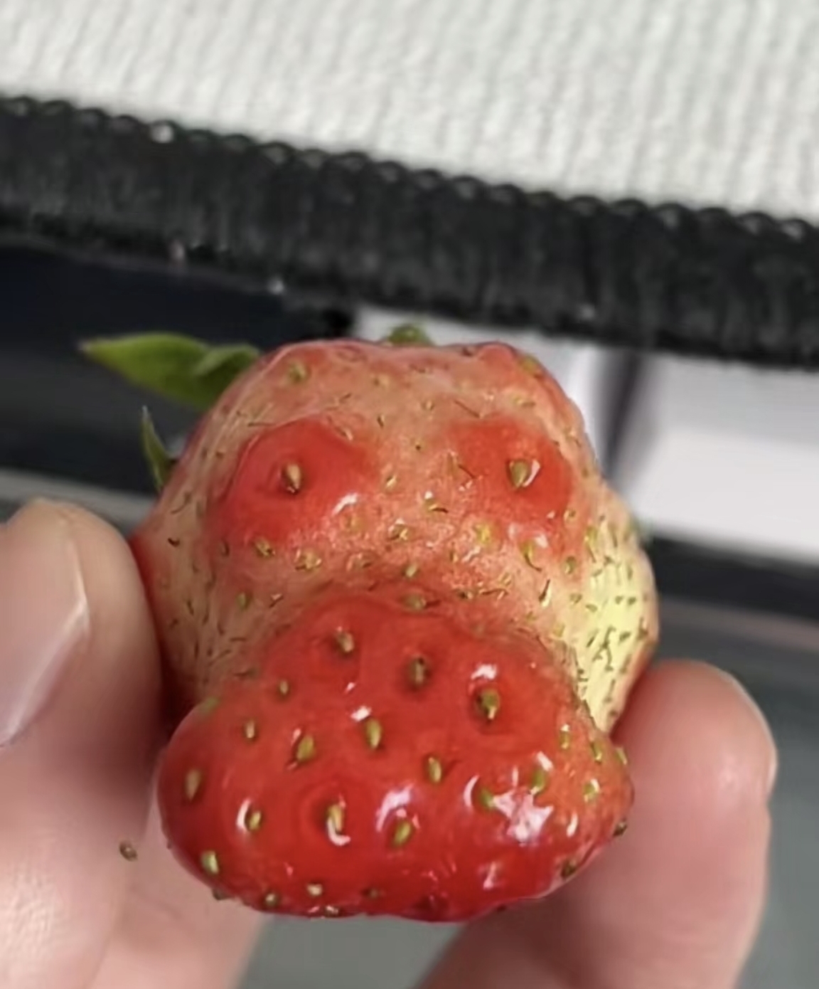 像可达鸭,像河马,像金元宝,像爱心,像玫瑰花,像辣椒,像蝴蝶,像比赞