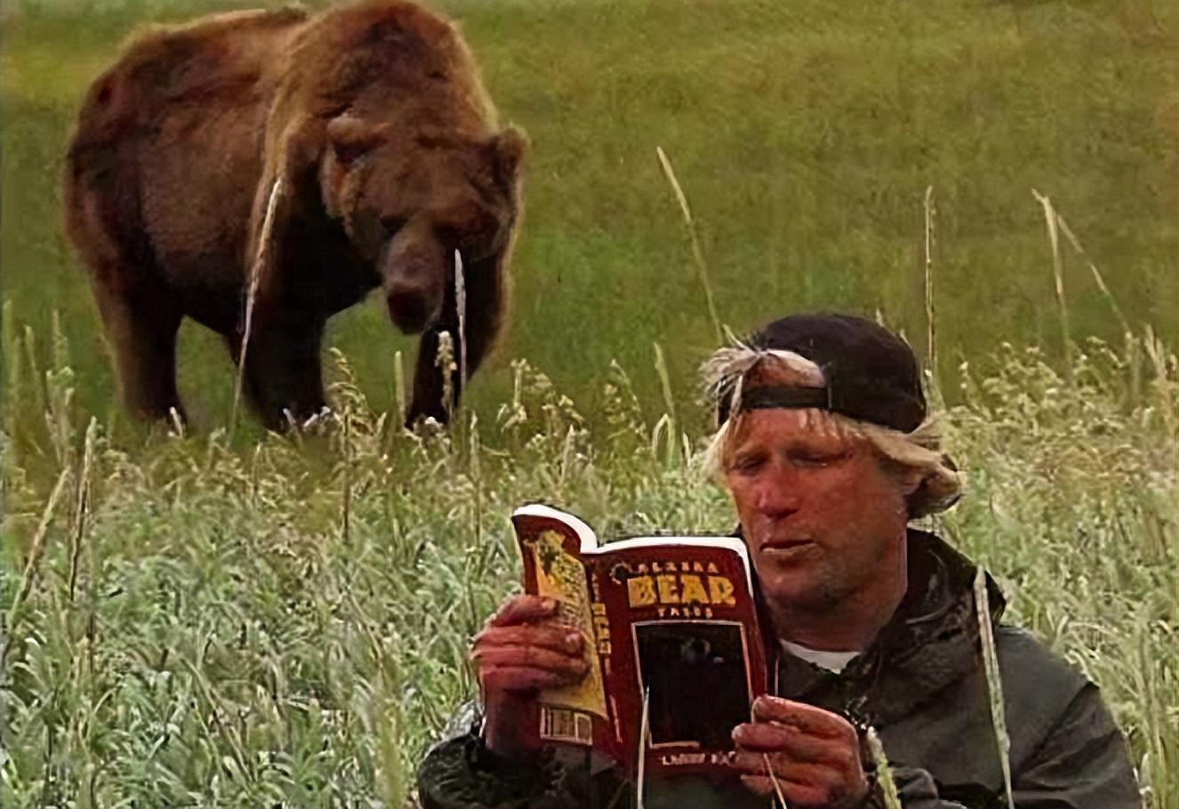 回顾美护熊奇人提摩西:和女友护熊13年,夜宿保护区时,双双被熊吃