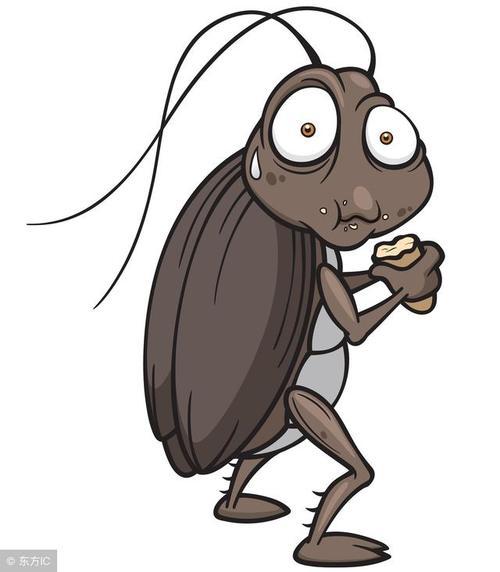 九成人不知道蟑螂天敌是啥教你屋内放个它蟑螂就消失了