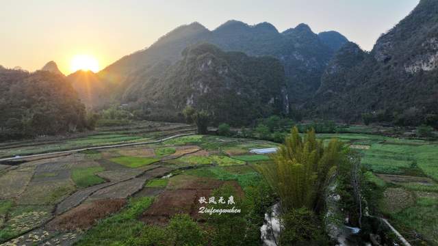 梯田描绘大地纹理 秀峰跌落油菜花海 醉在滇东南春风里