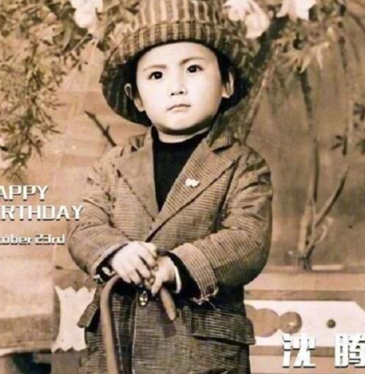 回顾沈腾不娶王琦我就是罪人王琦嫁给沈腾是全家人的心愿