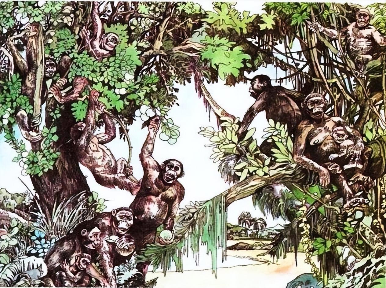 毕竟在各项的考古研究中显示,在那个时代热带雨林覆盖广袤的非洲大地