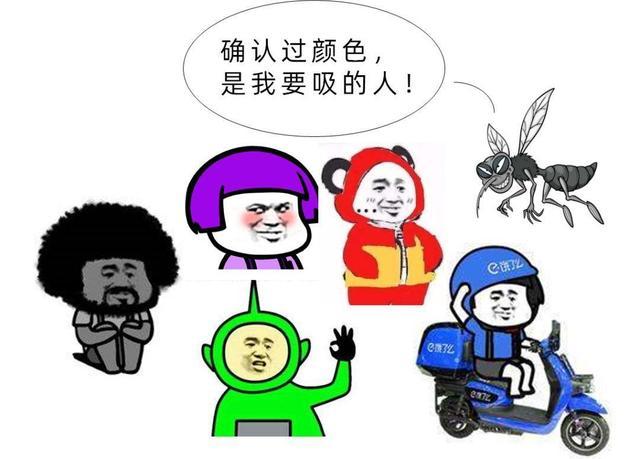 九成人不知蚊子天敌是啥教你一招晚上开窗也能安睡整夜