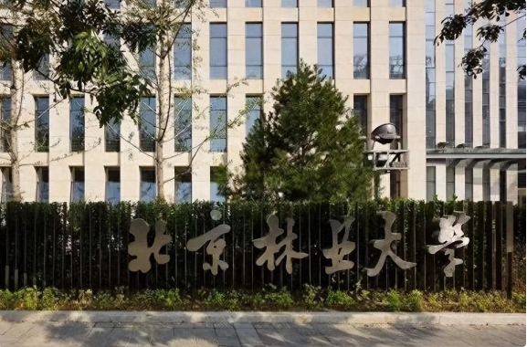 回顾:2017年何巧女向美国捐96亿,2年后却欠债200亿变"首负"?