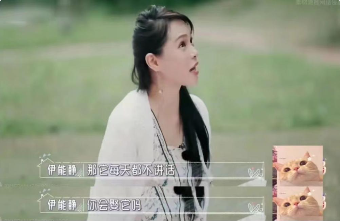 回顾离婚后迎来春天这五位明星打脸前任的方式真解气