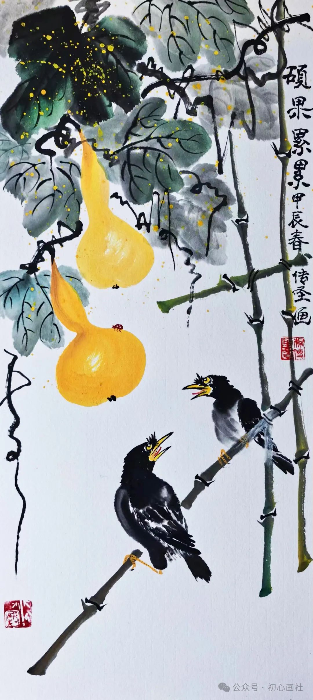 优秀作品展第900期