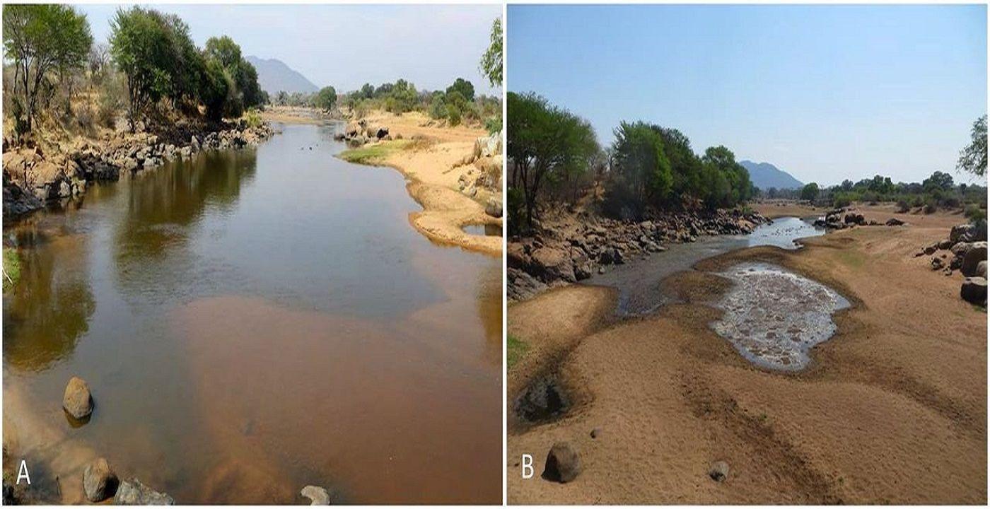 回顾:成千上万的鱼群被粪便憋的翻了肚,河马粪便到底多可怕?