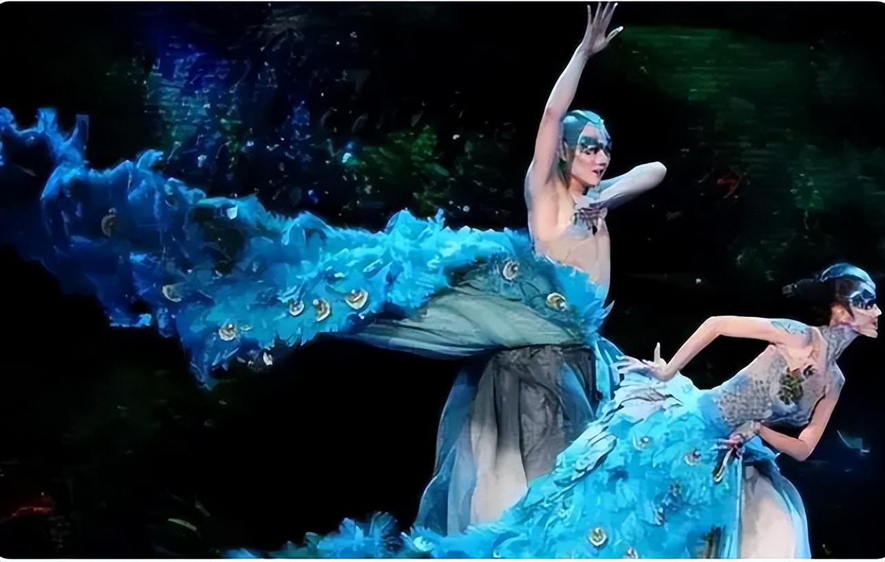 回顾杨丽萍舞伴王迪44岁选择自杀他死亡的真正原因是什么