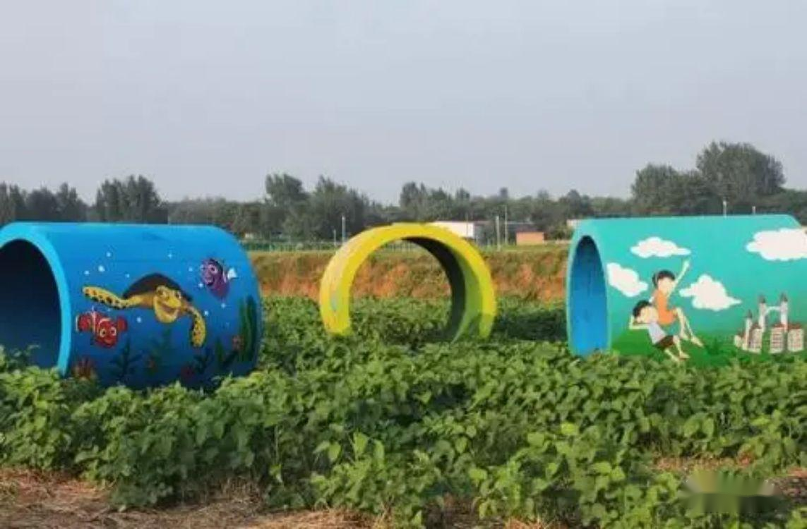 回顾海归女硕士弃学业开农场父亲气得要打她5年后收入1700万