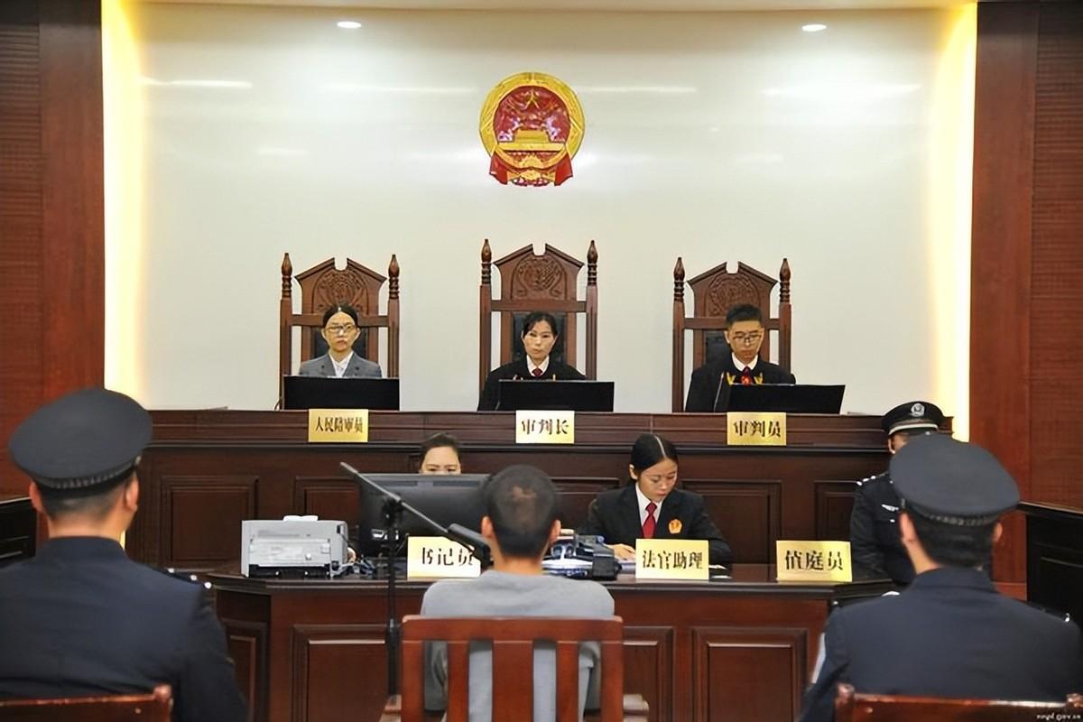 回顾被判10年掏鸟大学生刑满出狱父亲上诉五年法官看我像瘟神