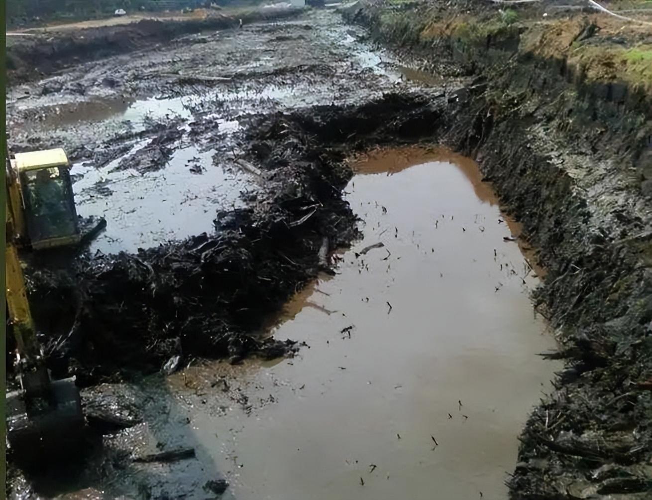 2010年4月怀孕八个月的孕妇,在芦苇地深陷沼泽,靠淤泥污水活4天