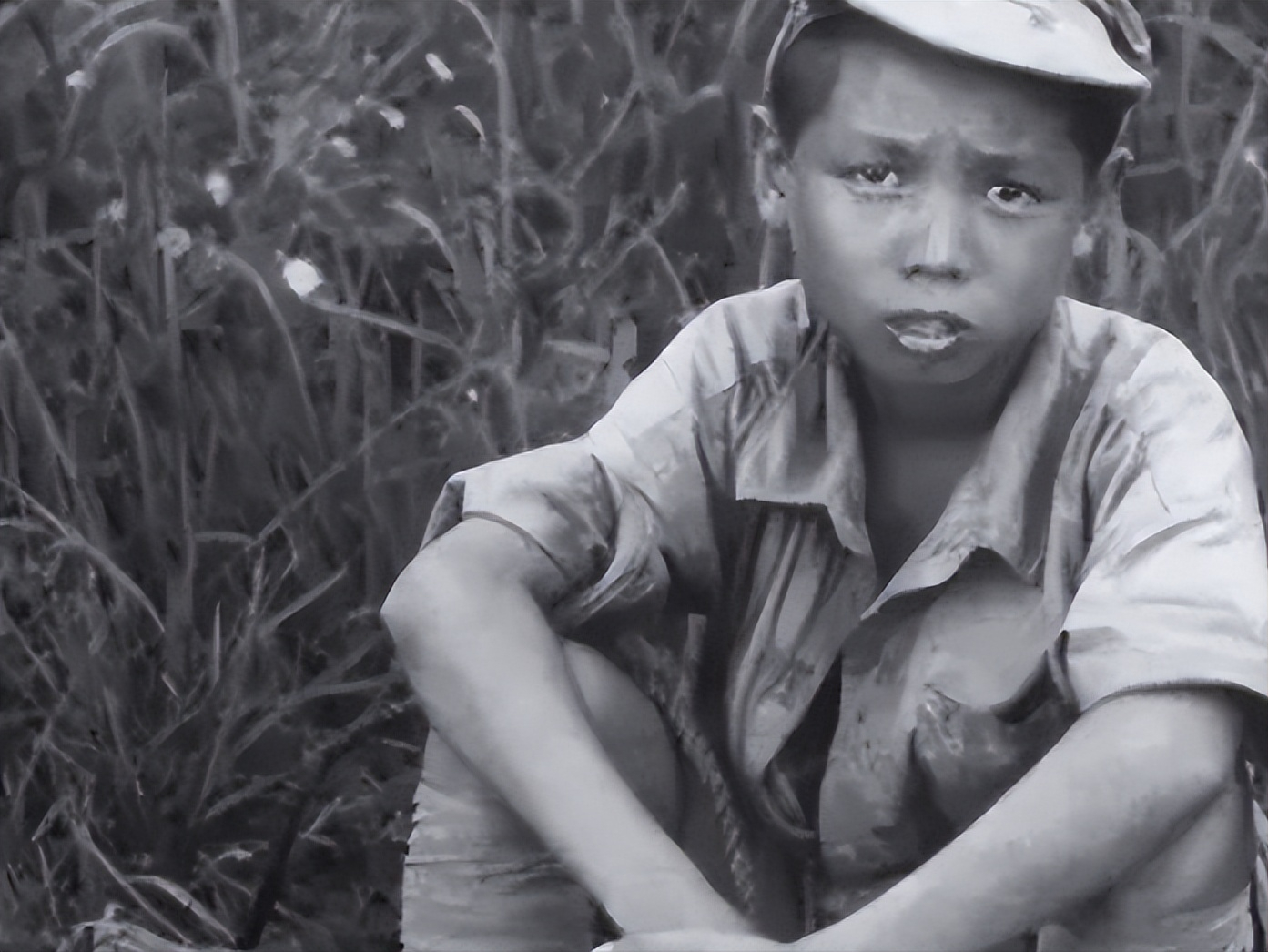 1935年12岁小红军被土匪枪决前说一句话土匪当即松绑还给他钱