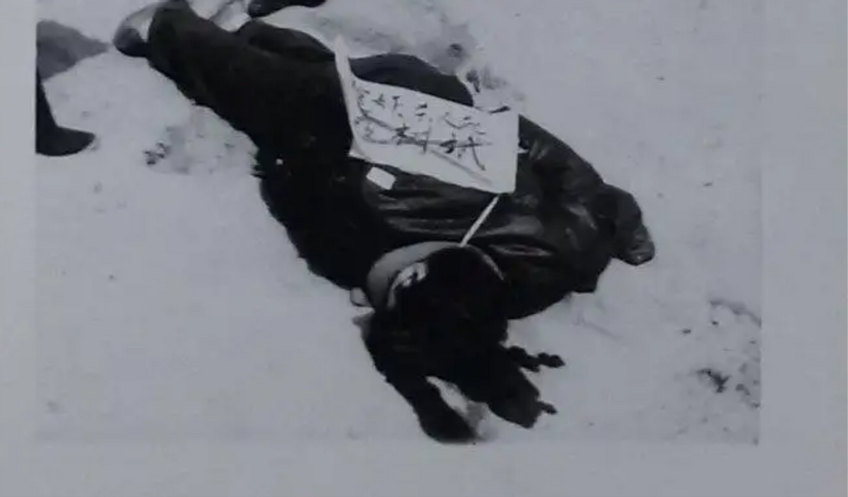 回顾小伙因杀人被毙10年后真凶出现母亲上诉21年终还儿子清白