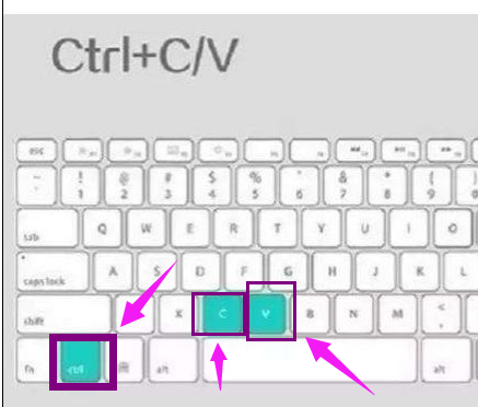 电脑怎么复制和粘贴?window与mac系统操作方法