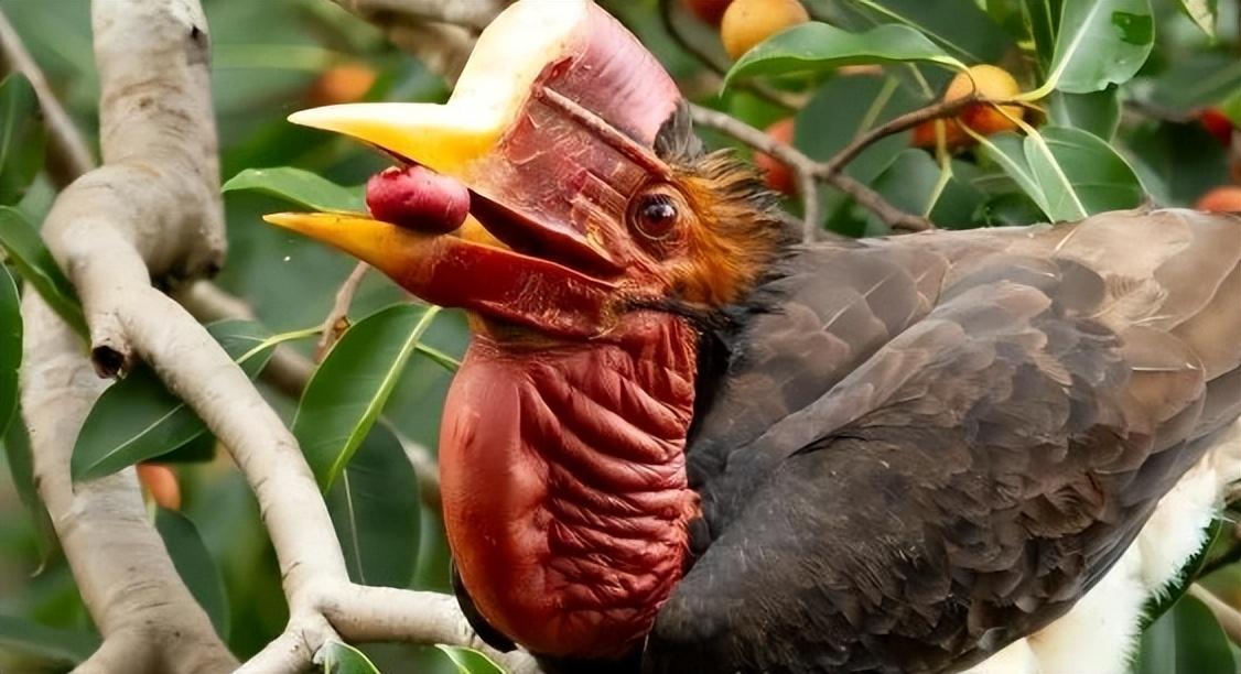 三,天价吊坠却引来祸端