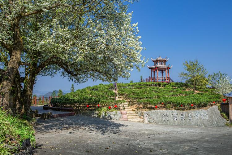 广西西林四大景点推荐,非常冷门的小县城竟藏着令人称绝的景色!