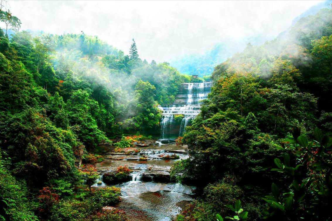 古蔺县黄荆老林风景区图片