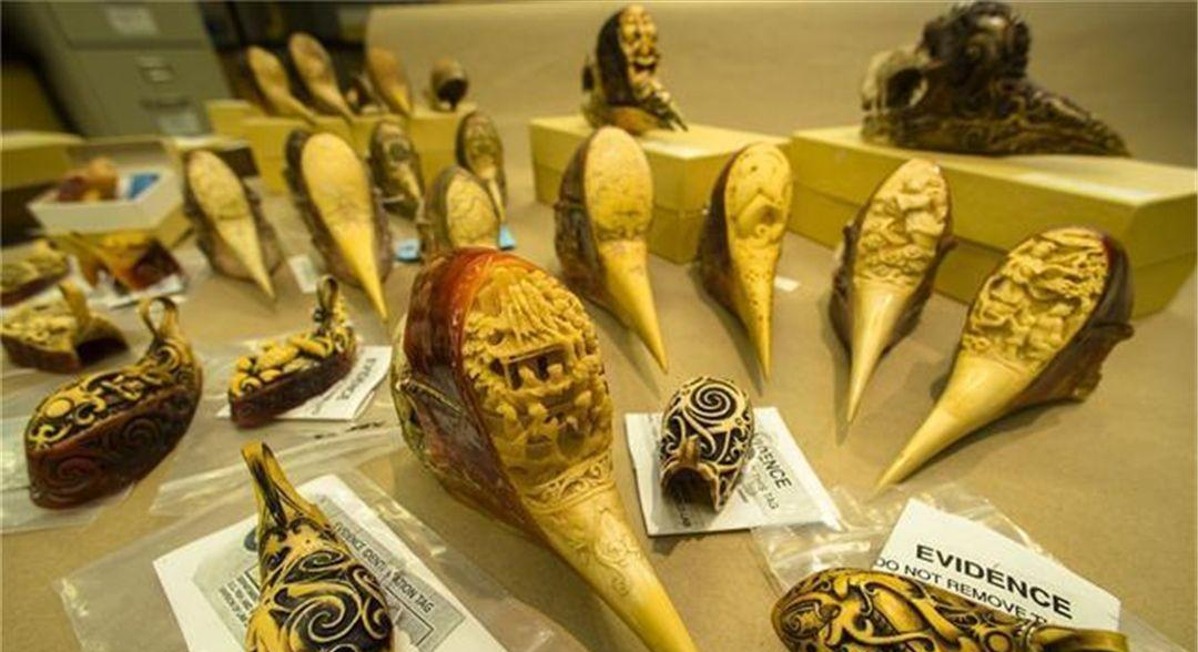 买卖白犀牛角和盔犀鸟头骨制成的吊坠为何会造成如此严重的后果呢?