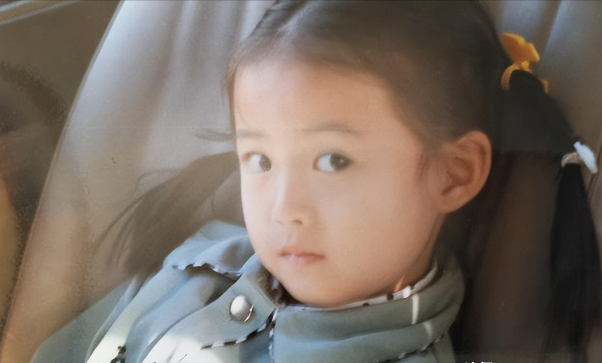 回顾魏小军:40岁走红,45岁"消失",如今新身份露面惊艳众人