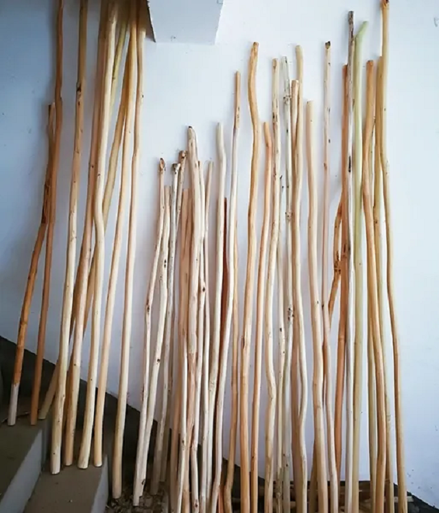 2007年河南女子自称会过阴补阳术咬掉2人舌头加一条人命