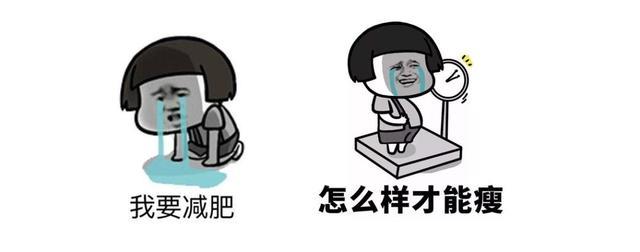九成人不知蚊子天敌是啥教你一招晚上开窗也能安睡整夜