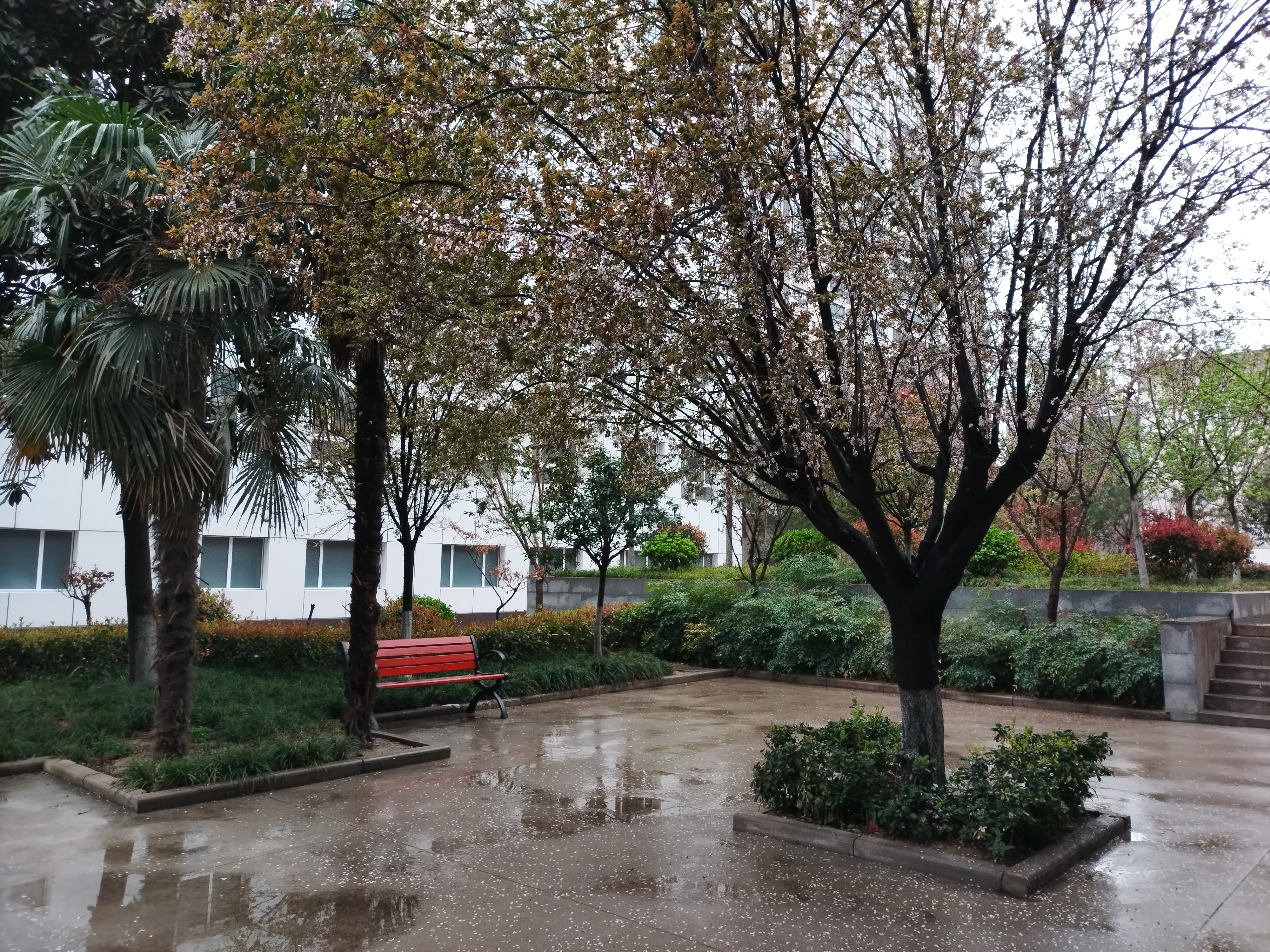 三月踏青风拂雨图片