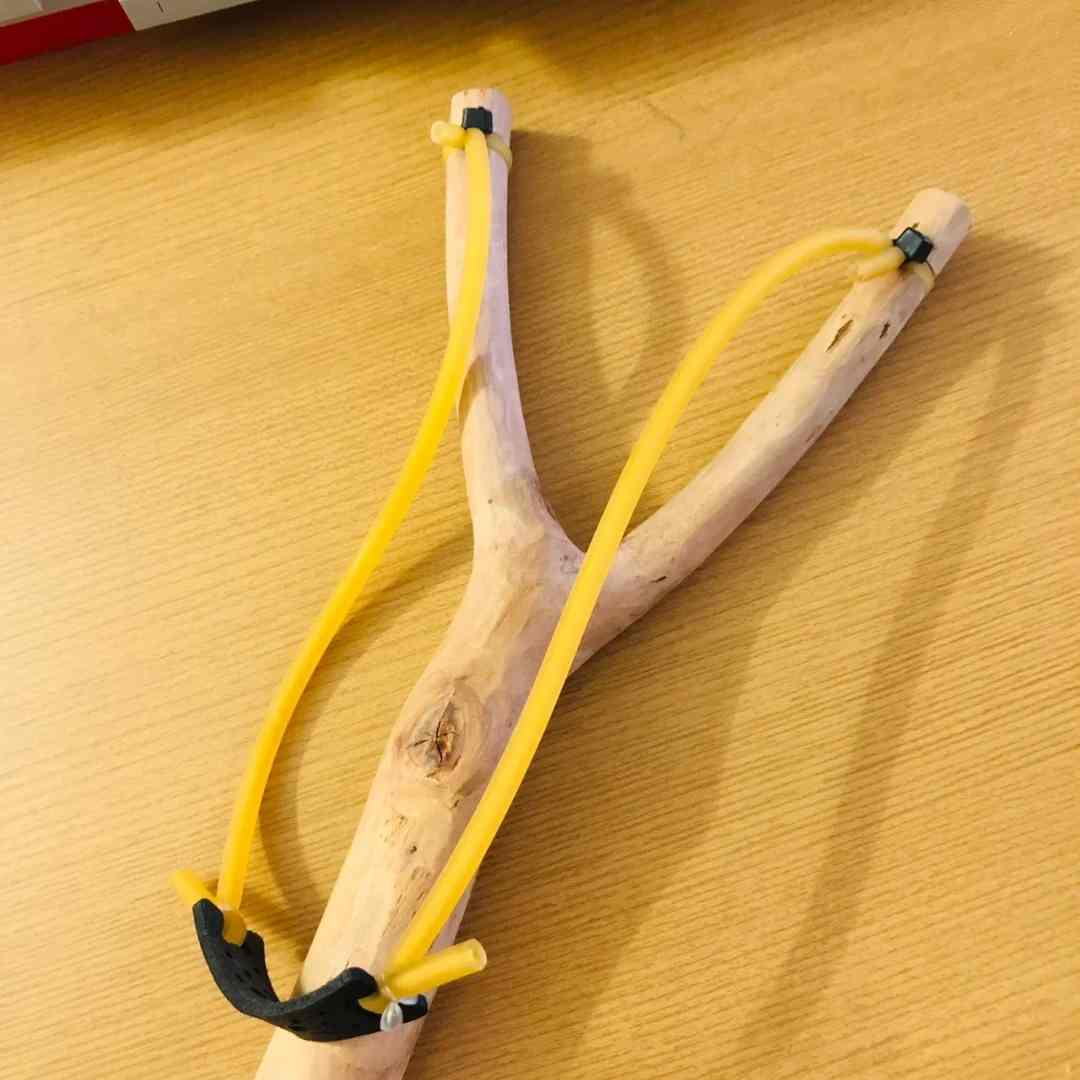 今天我要给你们介绍一个超级有趣的东西