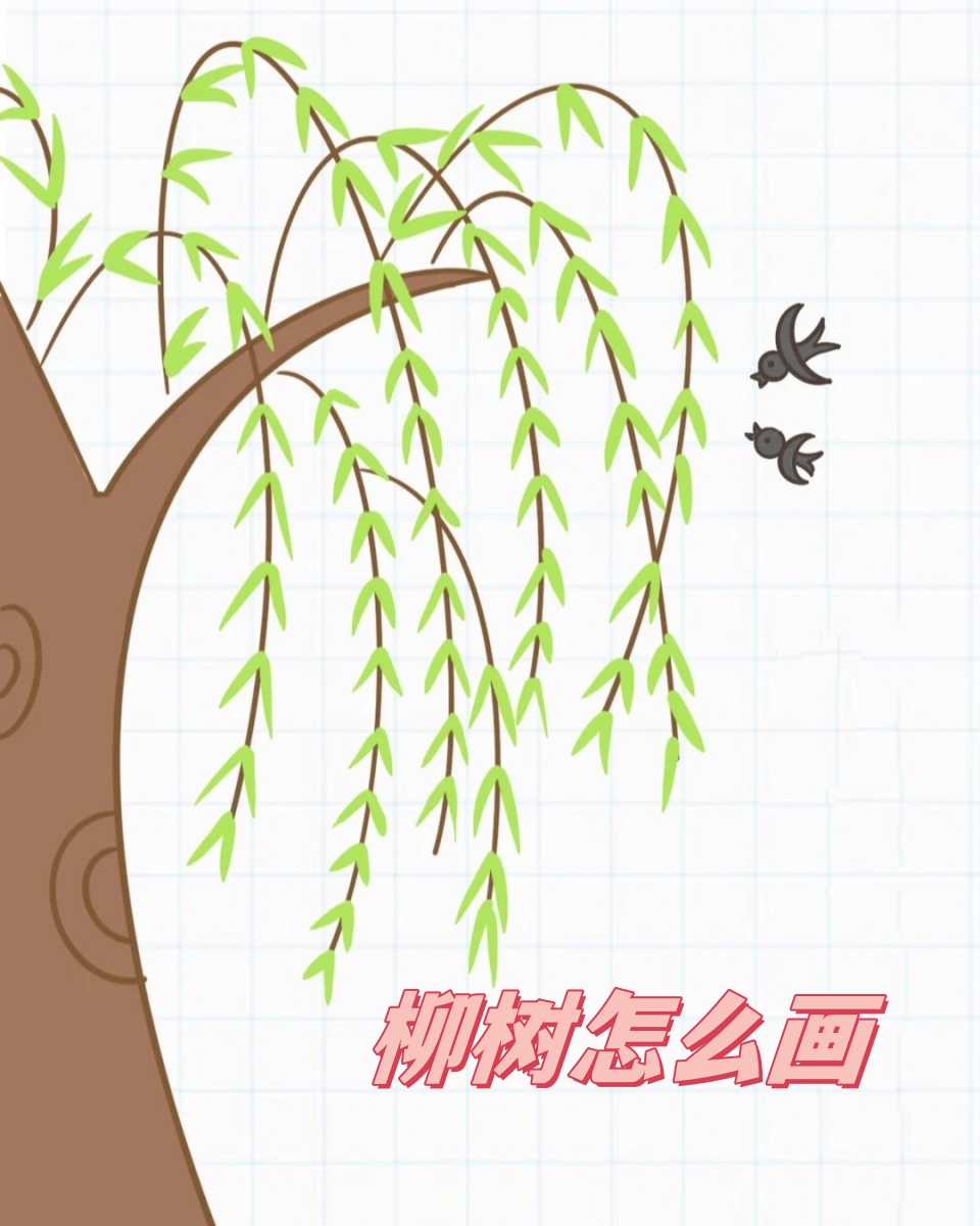 柳树怎么画  柳树是一种优美的树种,它的枝条柔软下垂,叶子细长.