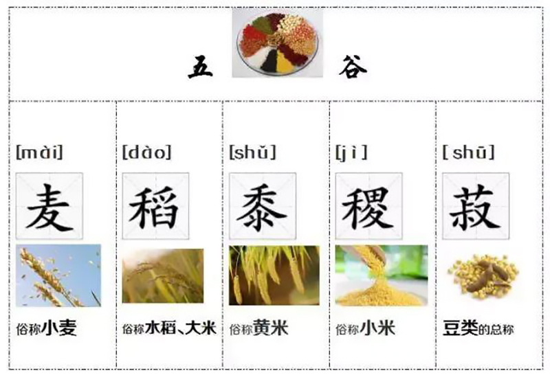 稻,是水稻,就是大米.我们现在的主食之一 黍,是黄米,比小米大一些