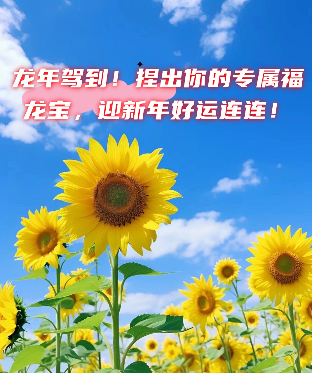 捏出你的专属福龙宝,迎新年好运连连!