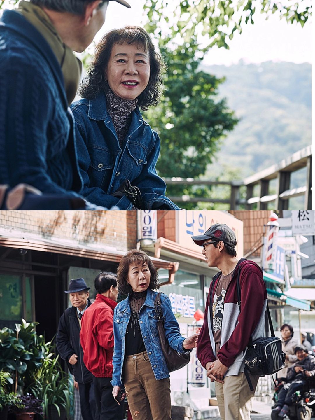 《酒神小姐》:探讨老年群体的深度之作