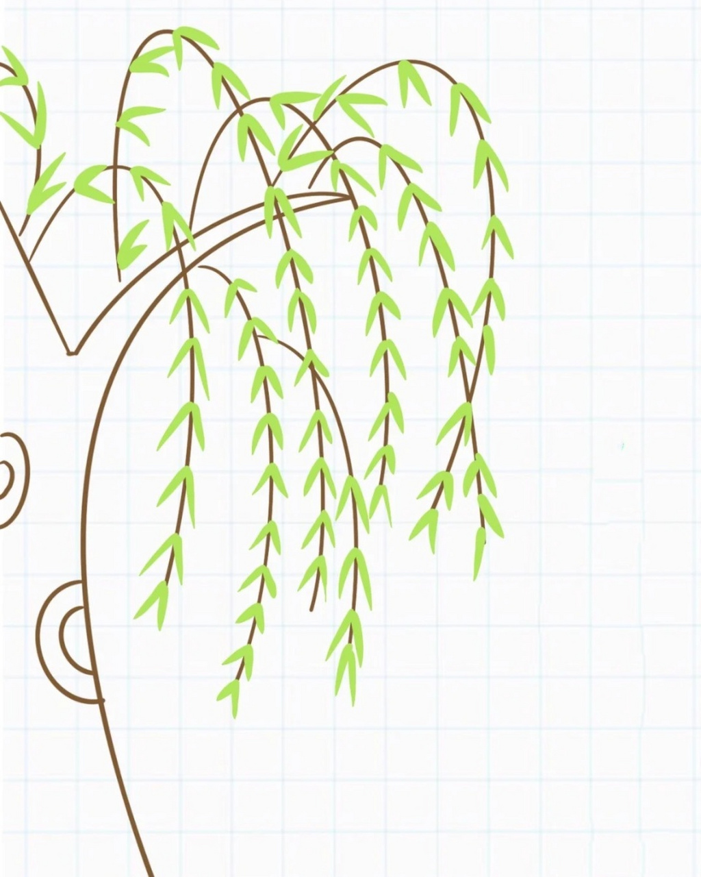 柳树怎么画  🌳柳树是一种优美的树种,它的枝条柔软下垂,叶子细长.