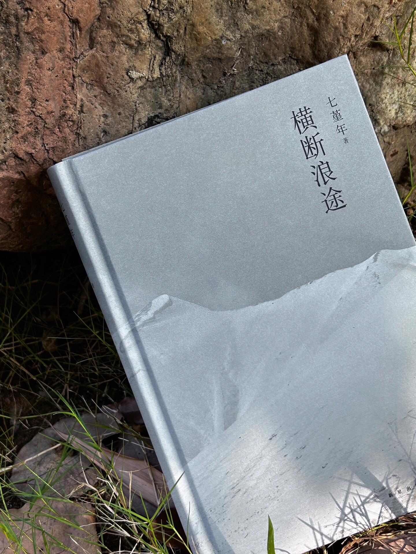 张芳留学归来小说