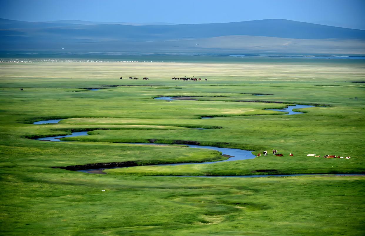 探秘天堂草原:内蒙古旅游全攻略,让你玩转壮美风光!
