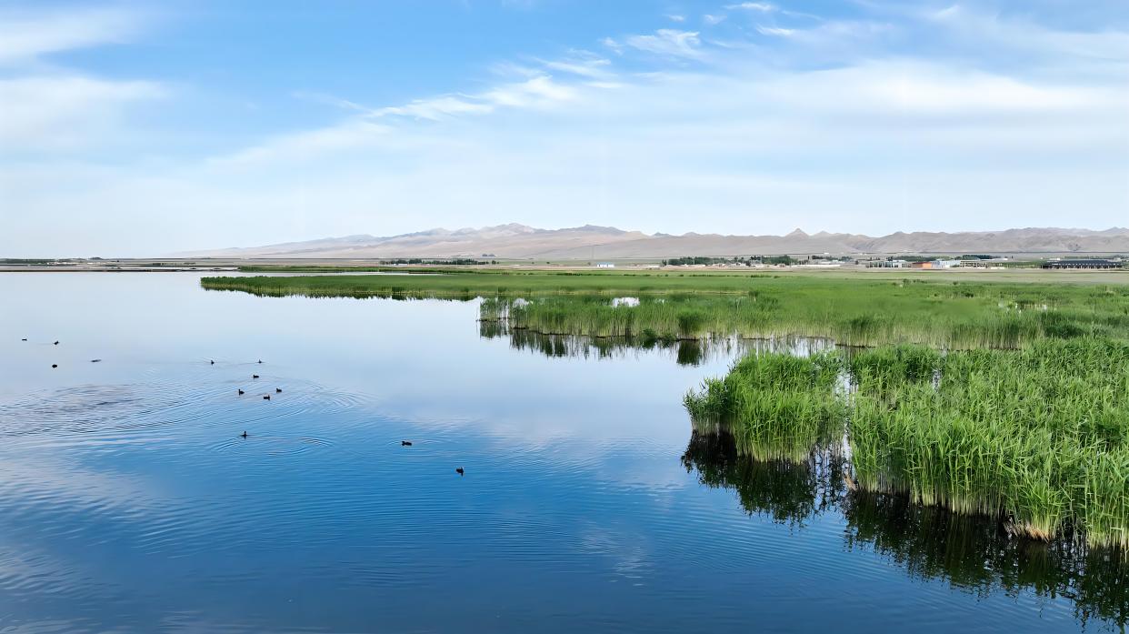 探秘天堂草原:内蒙古旅游全攻略,让你玩转壮美风光!