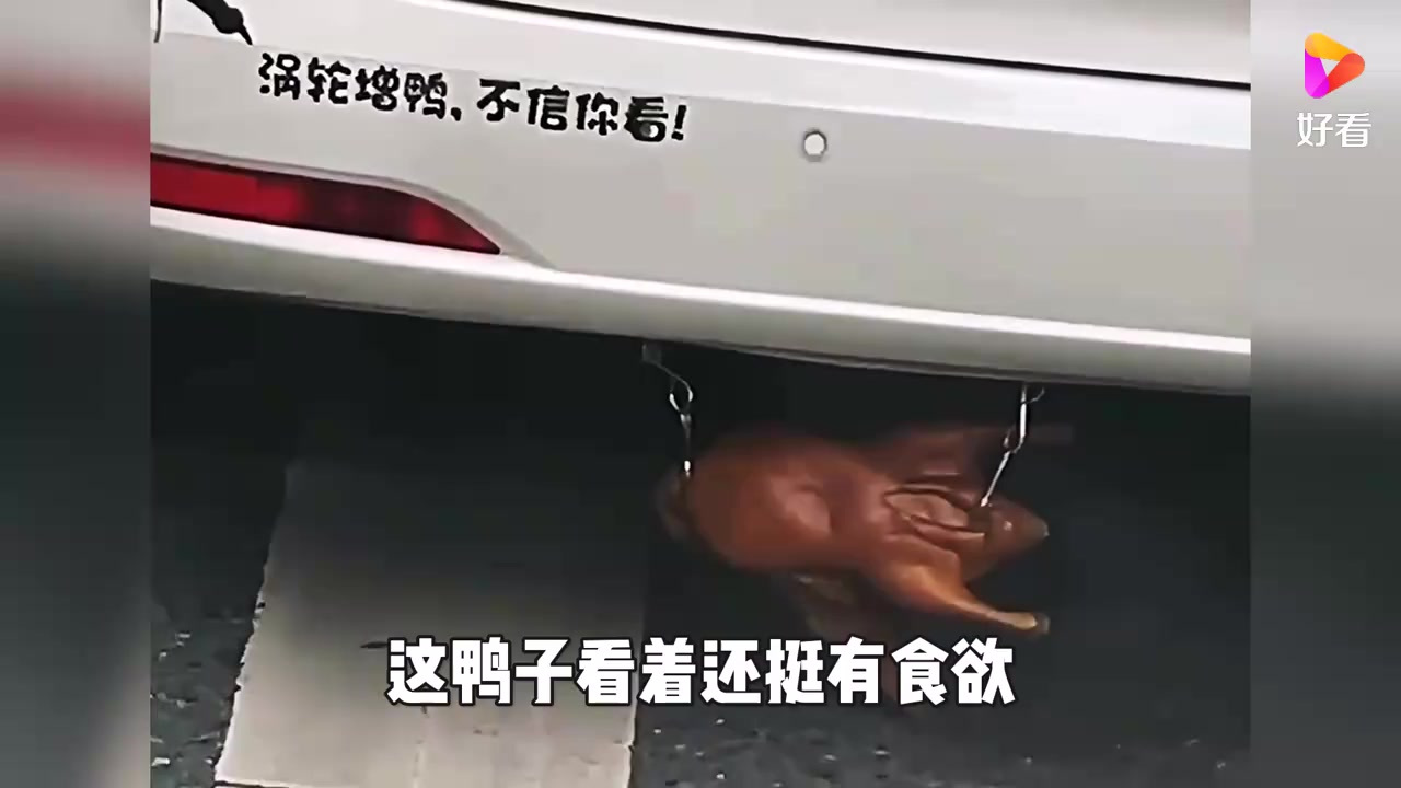 我见过涡轮增压,没见过真的涡轮增鸭!还挺有食欲!